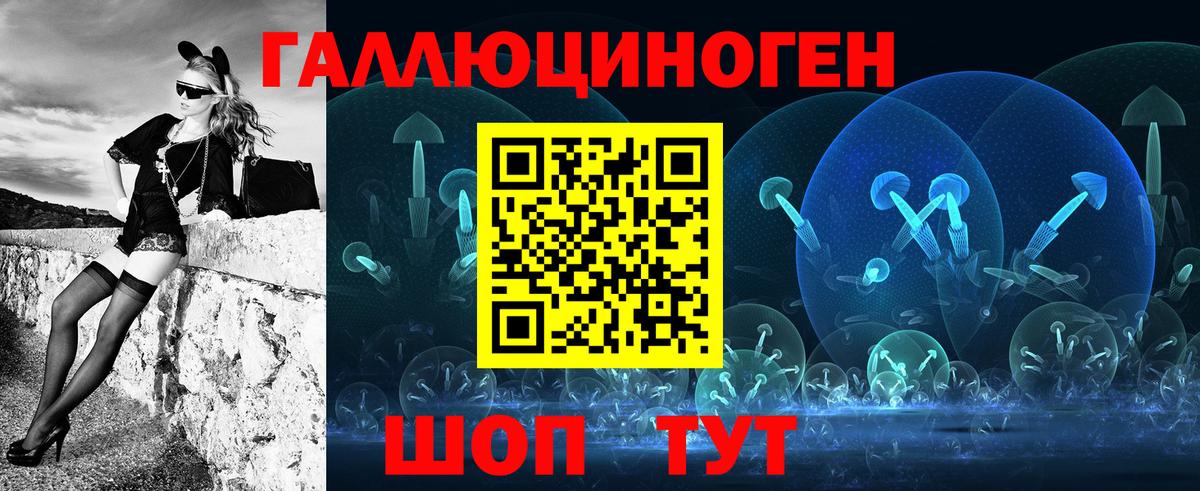 Псилоцибиновые грибы Psilocybine cubensis Курганинск